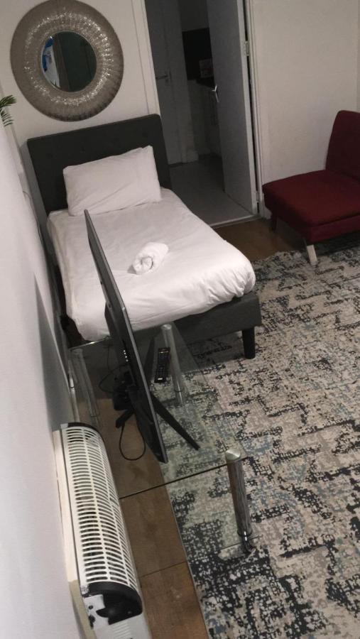 Lovely Studio Flat With Free Parking - Near To City Center Суонзи Стая снимка